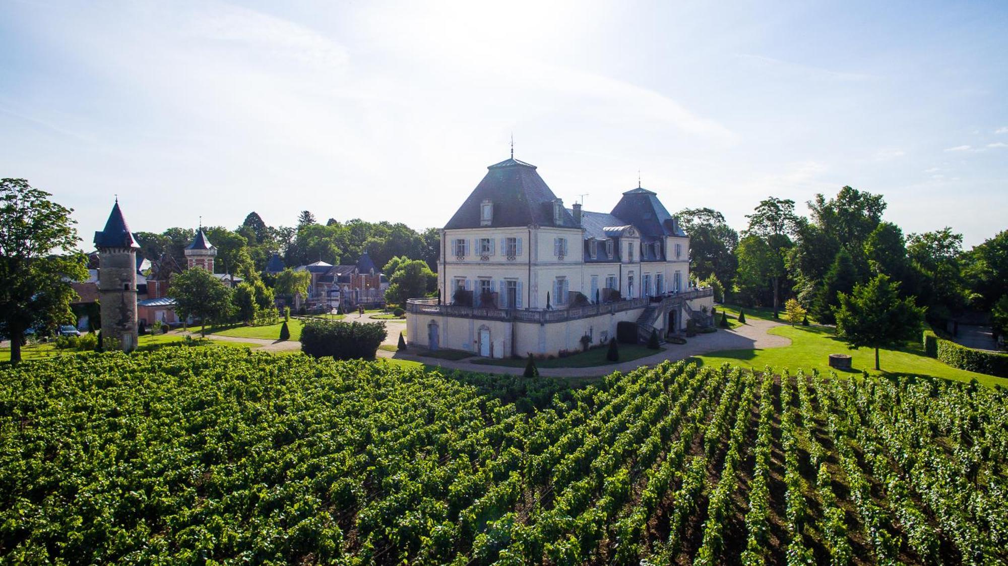 Chateau & Spa De La Cueillette Meursault Eksteriør bilde