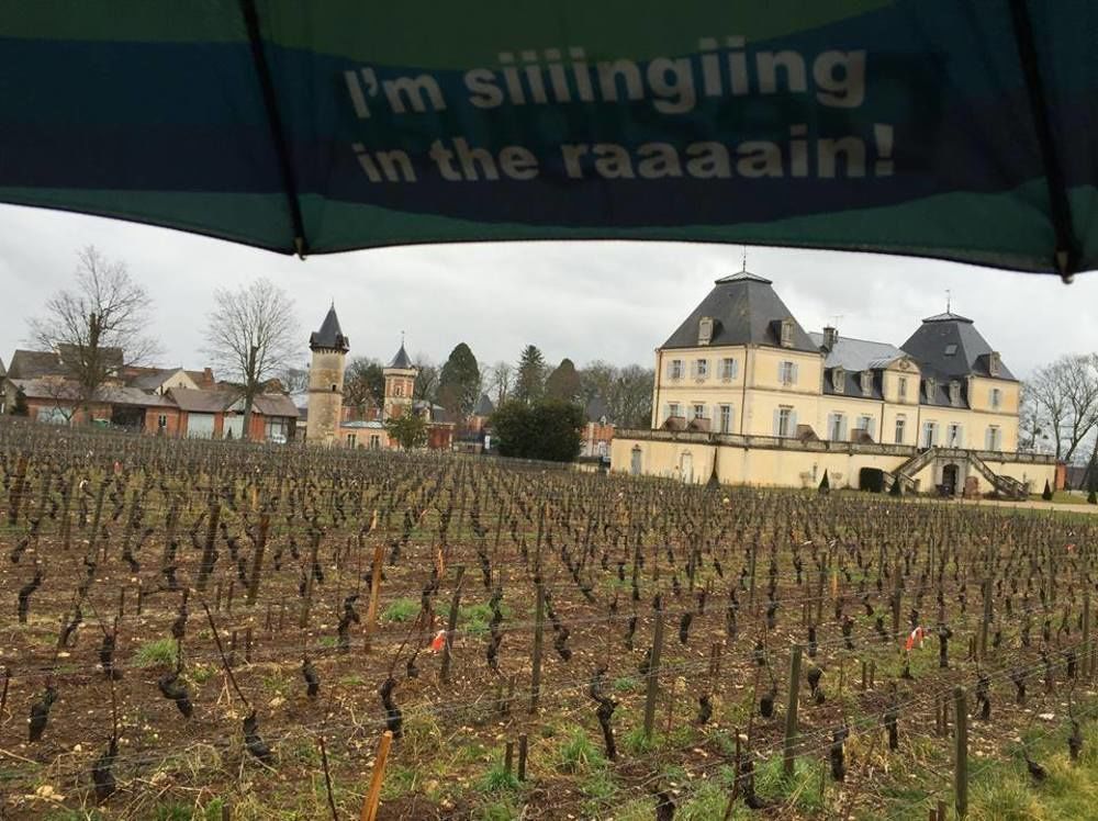 Chateau & Spa De La Cueillette Meursault Eksteriør bilde